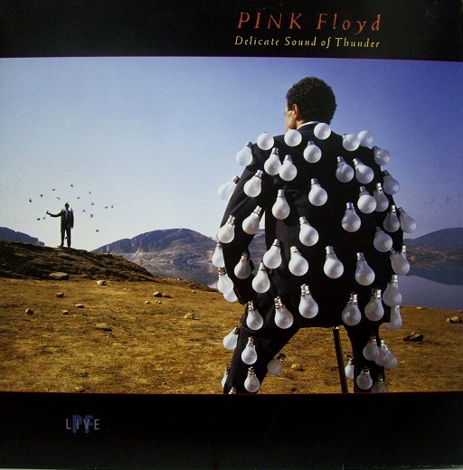 PINK  FLOYD	Delicate Sound Of Thunder  (EMI – 198-7 91480 1 ) 2LP, Gatefold	1988	Holland	nm-ex+	Цена	5 950 ₽
