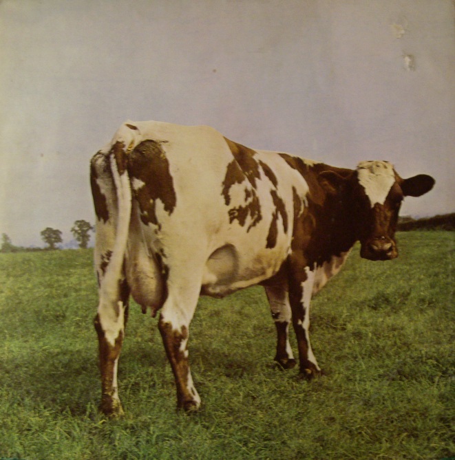 PINK FLOYD	Atom Heart of Mother ( Harvest – SHVL 781 A-1G  PA/B-1G AT) Gatefold, (Harvest Records 1st issue)	1970	England	ex+-nm	Цена	20 000 ₽
